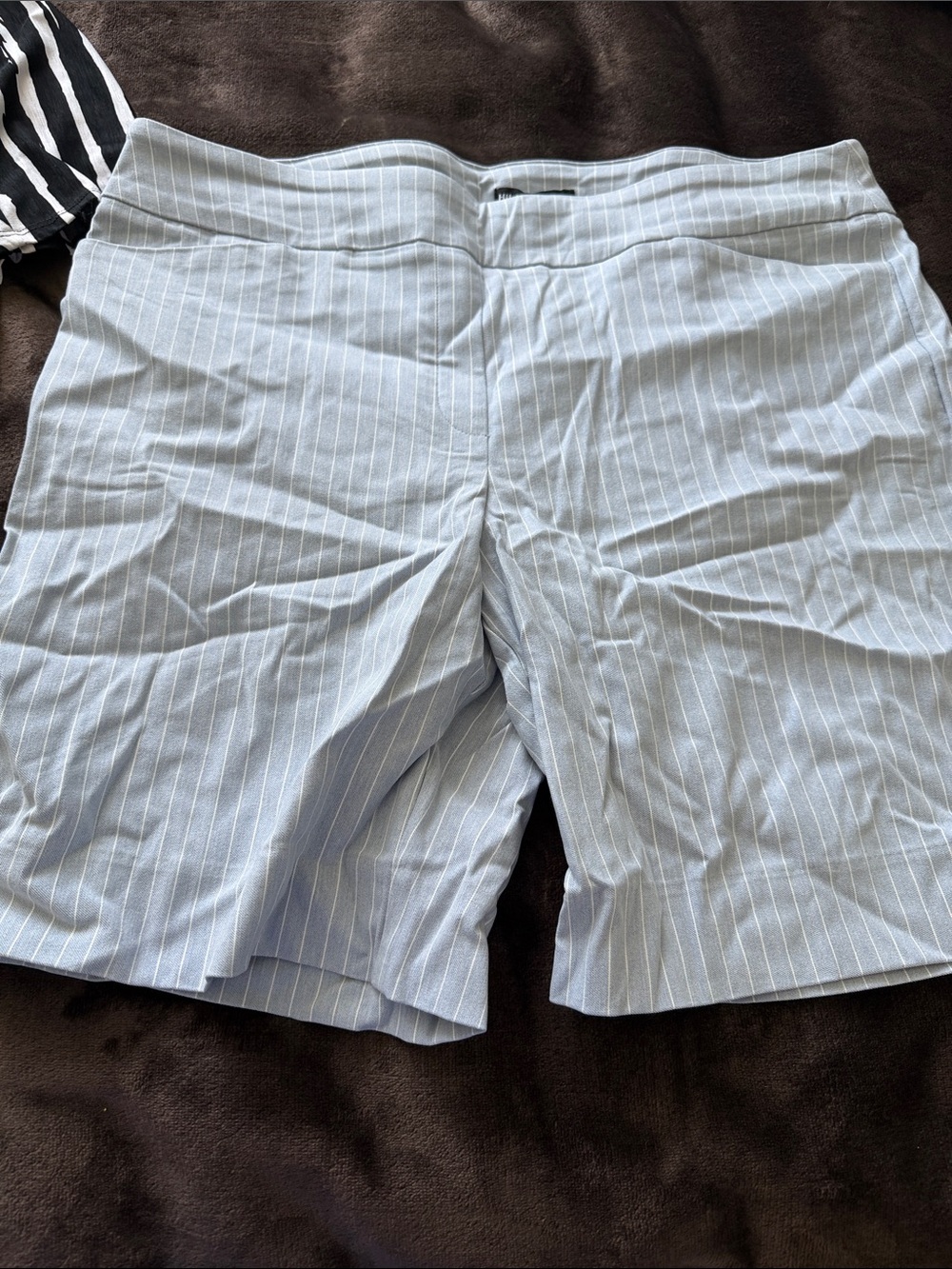 Womens Light Blue Pinstripe Shorts